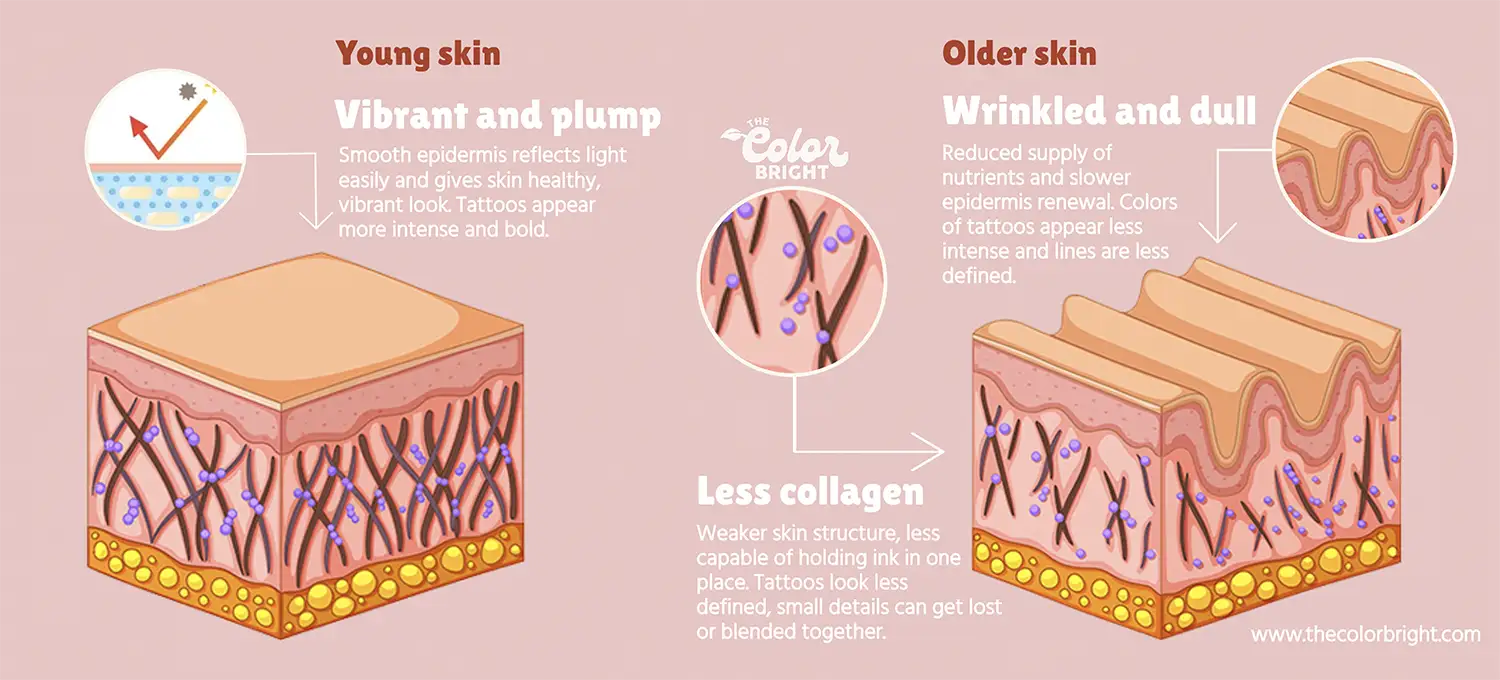 tattoo ageing - young vs old skin